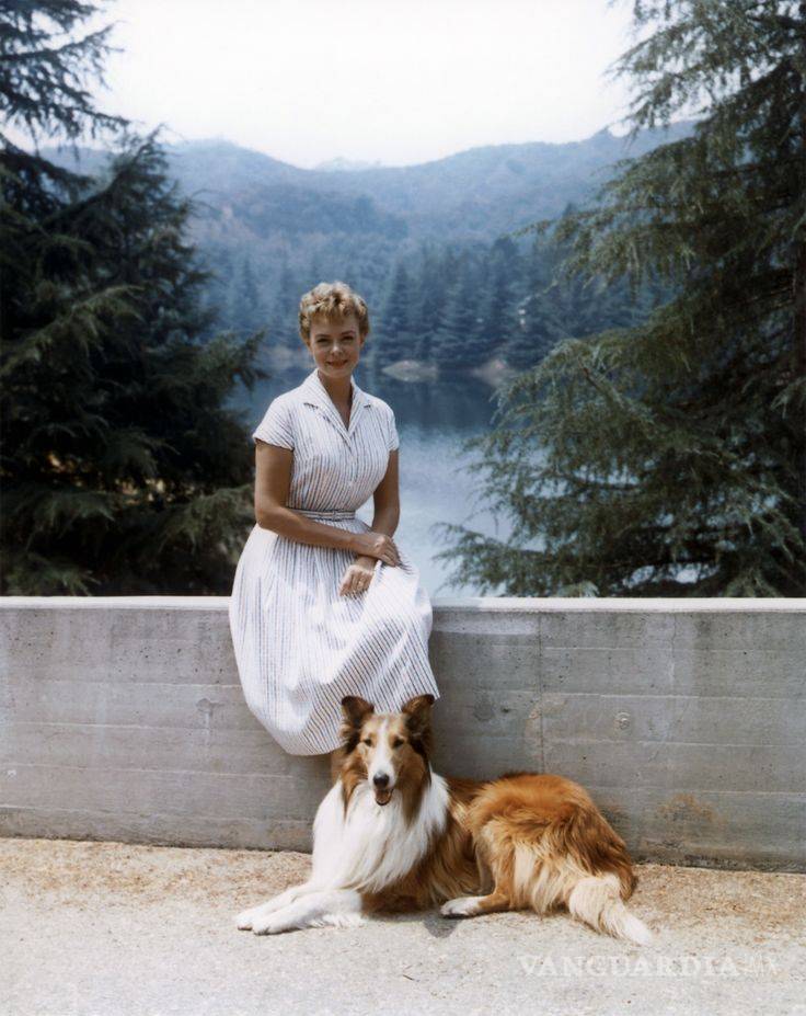 $!Animales, estrellas de fama mundial