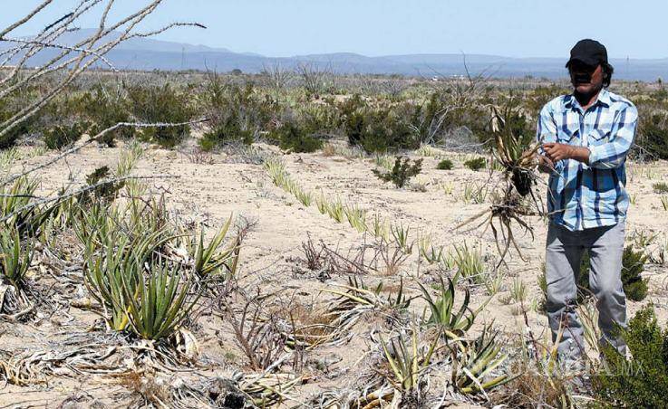 $!Juan sin miedo y el pilar del oro y plata