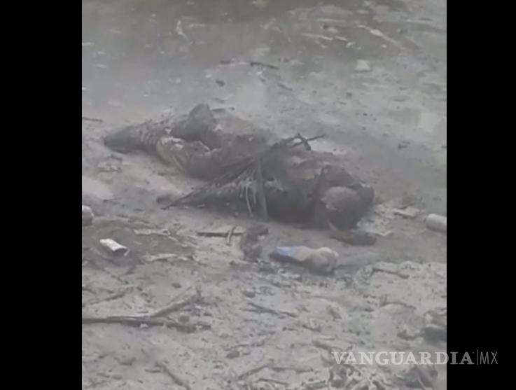 Encuentran cadáver en límite de Coahuila y Nuevo León, sería de piloto de motocross