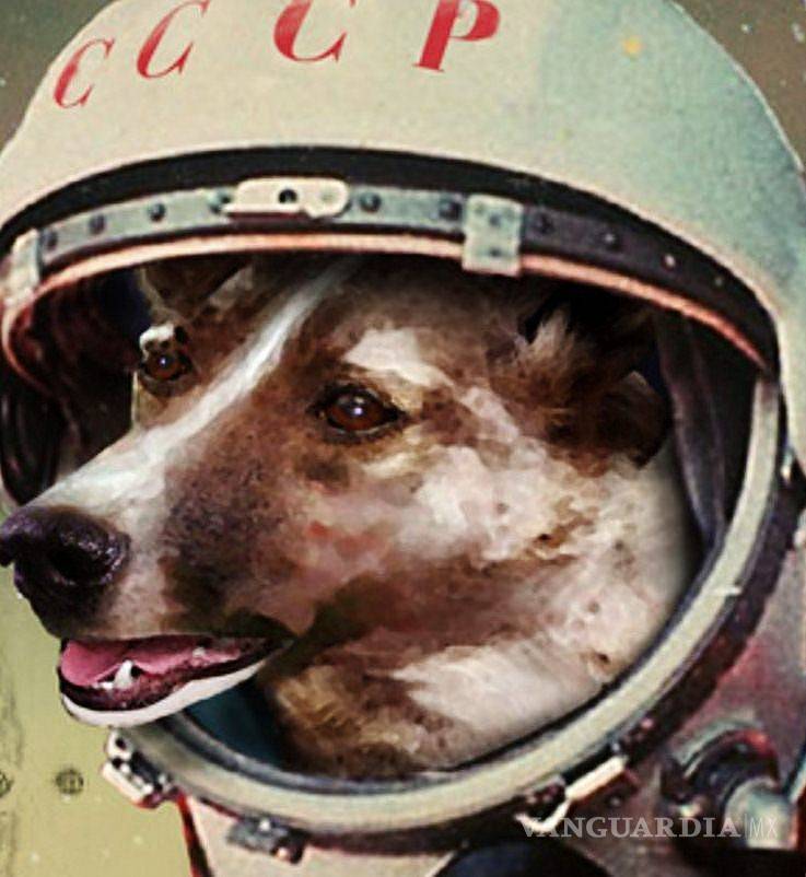 $!Una perrita pionera en el espacio,&nbsp;60 años del viaje de Laika