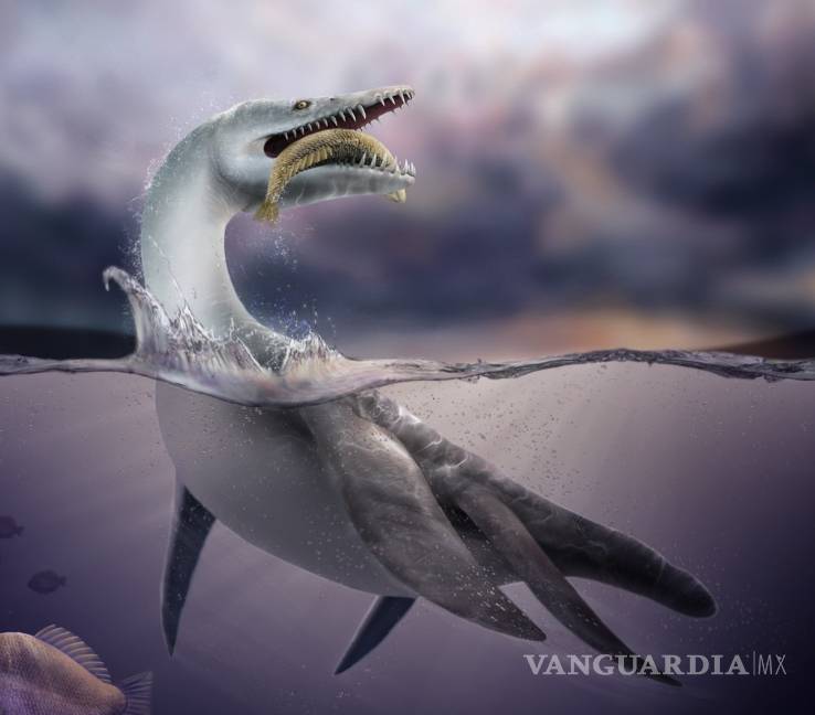 Descubren el fósil más antiguo de un plesiosaurio