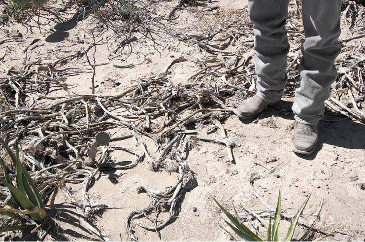 $!Juan sin miedo y el pilar del oro y plata