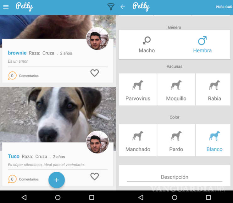 $!Mexicanos desarrollan una app para adoptar mascotas