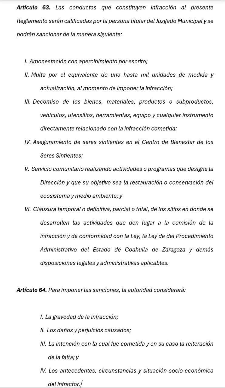 $!Con estas nuevas disposiciones en el reglamento se busca generar conciencia.
