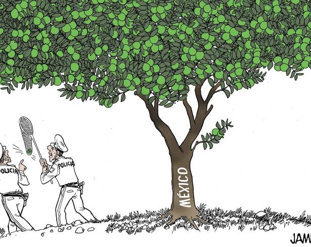 Cayó ‘El Limones’