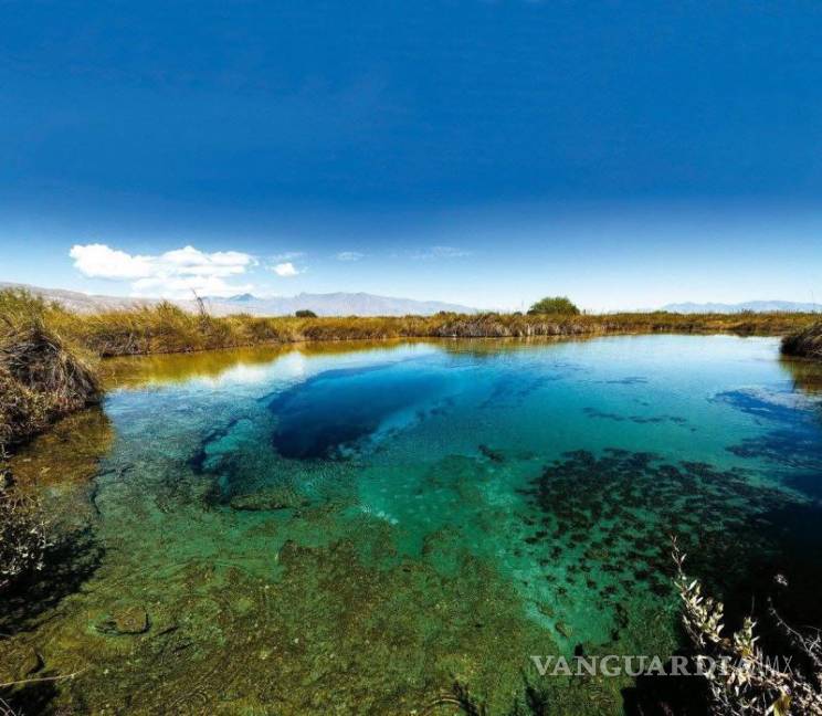 $!Visitar la pozas, en Cuatro Ciénegas, es toda una experiencia.