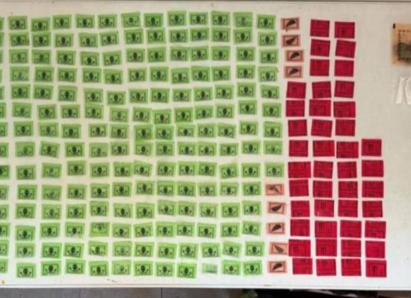 Realizan Guardia Nacional y Ejército operativos en Mazatlán