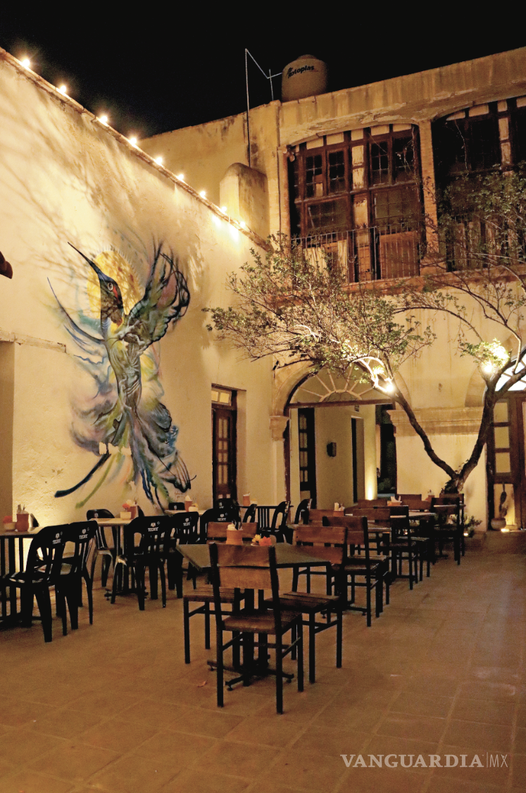 $!Diente de León te recibe con un colibrí de pecho azul, un símbolo de libertad y pasión.