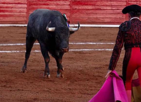 ¡Corridas de toros seguirán en CDMX!... pero se prohibirá lastimarlos y matarlos