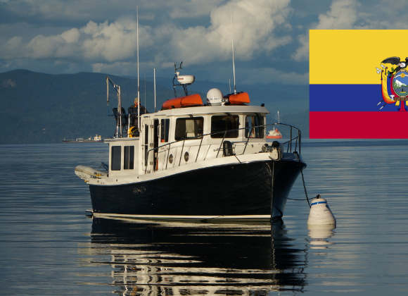 Autoridades interceptaron toneladas de droga en Ecuador; presunto destino era México y Centro América