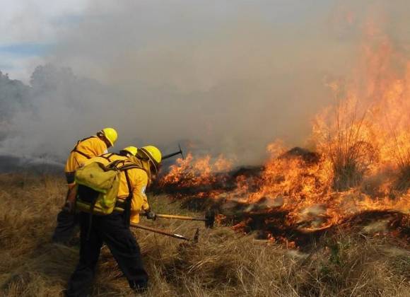 Existen 114 incendios forestales activos en México: y más de 38 mil hectáreas afectadas: CNPC