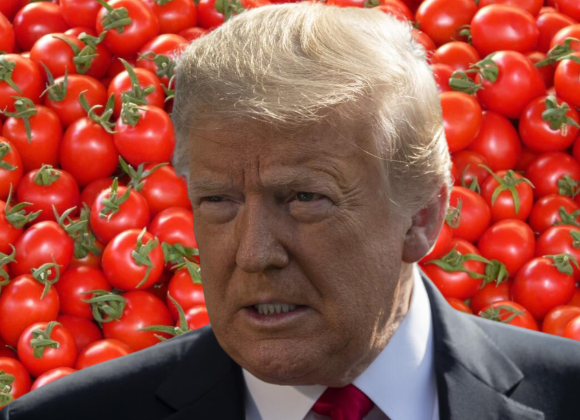 Competencia de Tomates; Trump impone arancel del 20.91% a tomates mexicanos