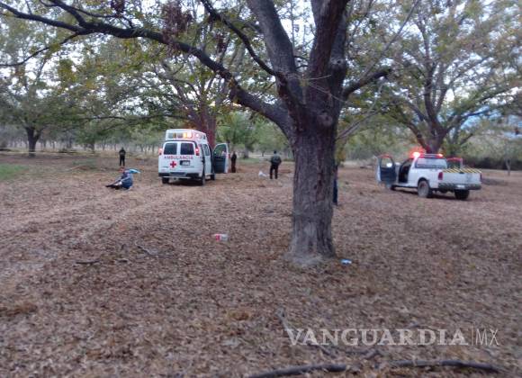 Cae de lo alto de un nogal y pierde la vida, en ejido de Parras