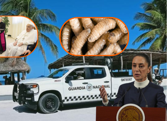 Resumen de noticias del fin de semana en México: Gusano barrenador y Domingo de la Resurrección