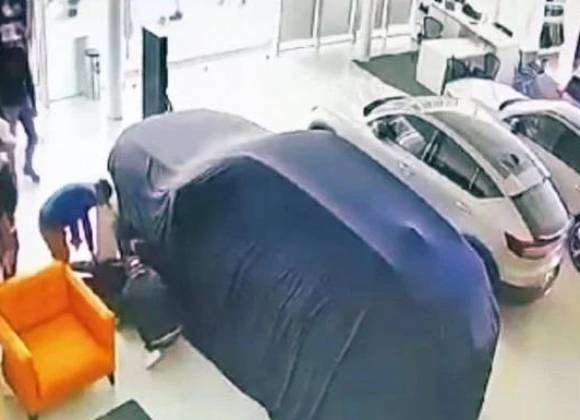 Comando robó 14 autos de lujo de una agencia Volvo en León