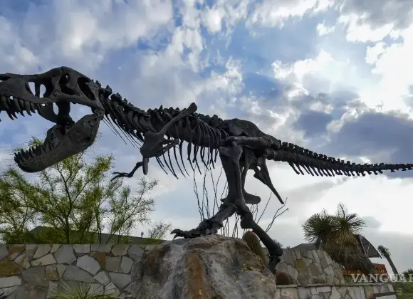 ¿Qué museos están abiertos en Saltillo durante Semana Santa?