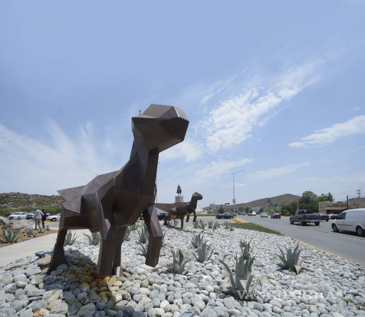 Dinos, sin parecido a las especies de Coahuila