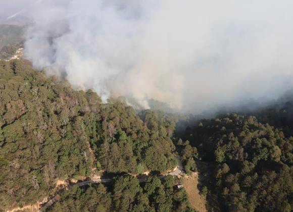 Pobladores en Hidalgo piden contener incendio; suman 10 hectáreas siniestradas