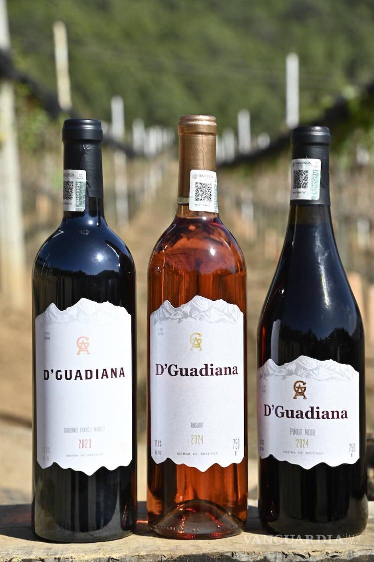 $!Vinos D’Guadiana recibe visitantes para recorridos y catas en la sierra de Arteaga.