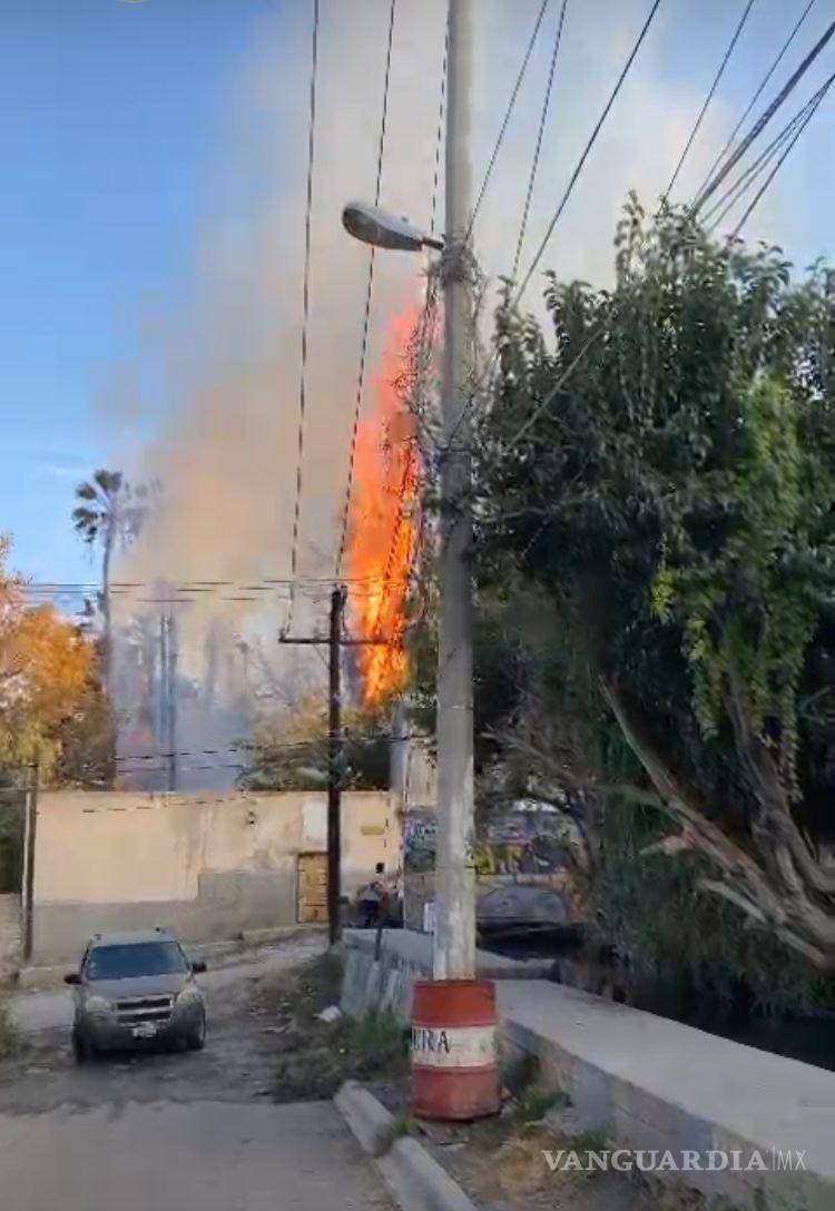 $!Las llamas consumieron varias palmas en Parras, mientras vecinos aseguraban ver la figura de San Judas Tadeo en el incendio.