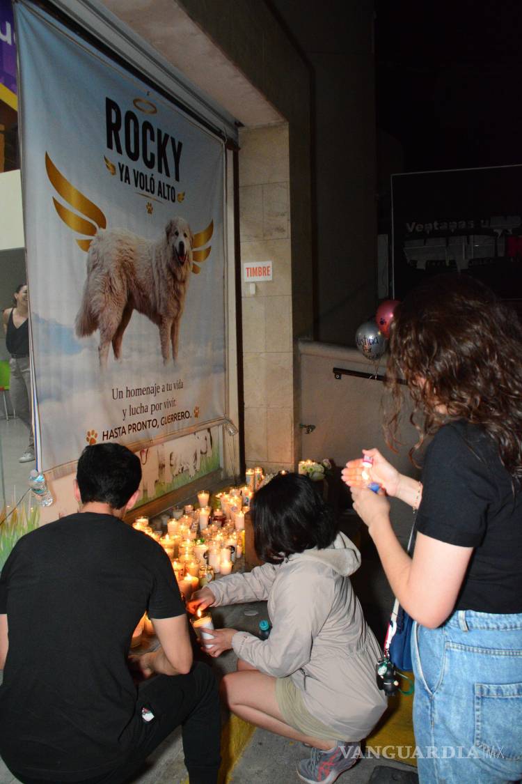 $!Tras el fallecimiento del perro Rocky el doctor Humberto Baca organizo una velada frente a Pets Care.