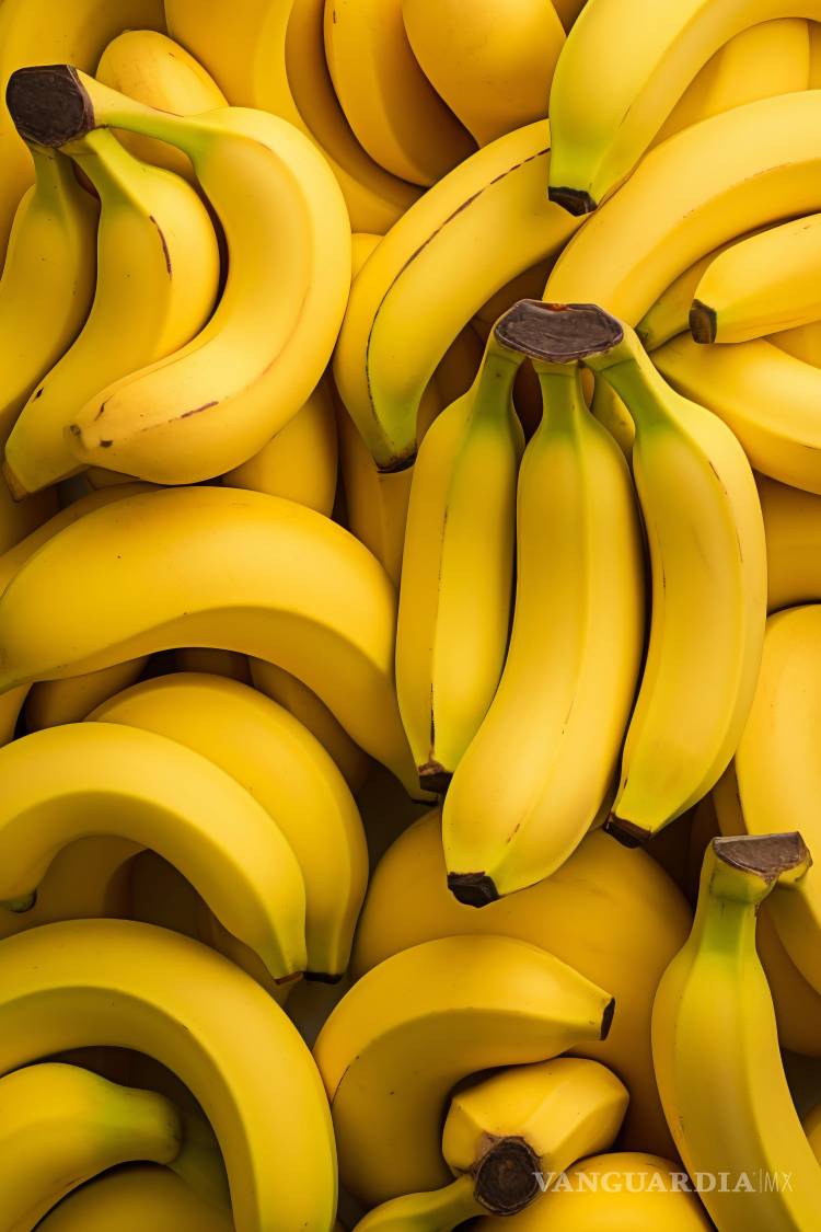 $!Plátano: sabor que manda