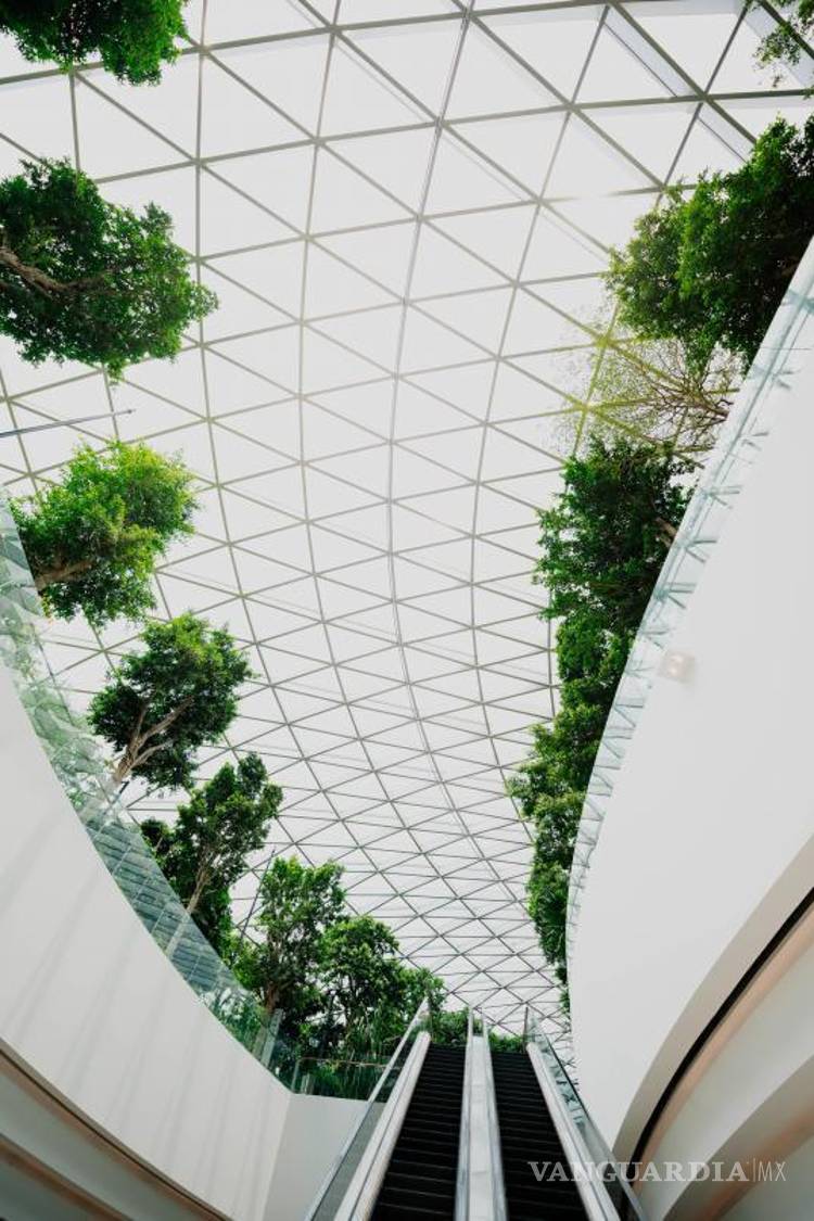 $!La arquitectura sostenible integra elementos de la naturaleza en los espacios interiores y exteriores.