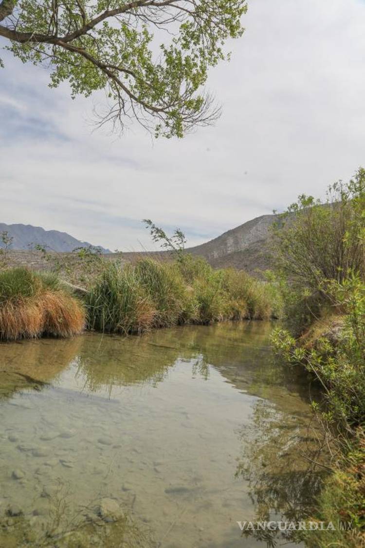 $!La carpita es un pez endémico de Bella Unión.