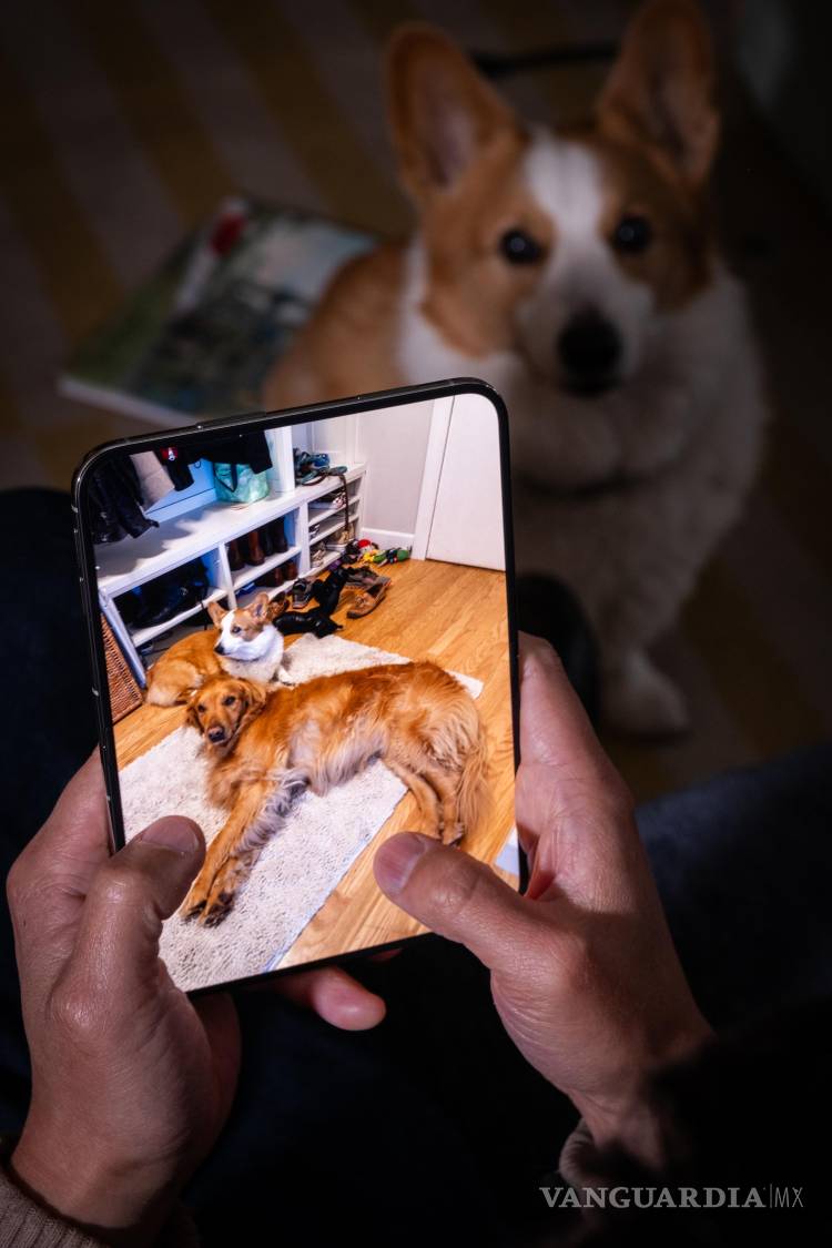 $!Brian Chen, redactor de la sección «Tech Fix», revisa fotos de sus perros en el nuevo iPhone Duo de Apple en San Francisco, el jueves 22 de octubre de 2026. El Duo es una tableta en miniatura que puede plegarse hasta convertirse en un teléfono que cabe en el bolsillo, permitiendo así llevarlo a todas partes. (Camille Cohen/The New York Times)