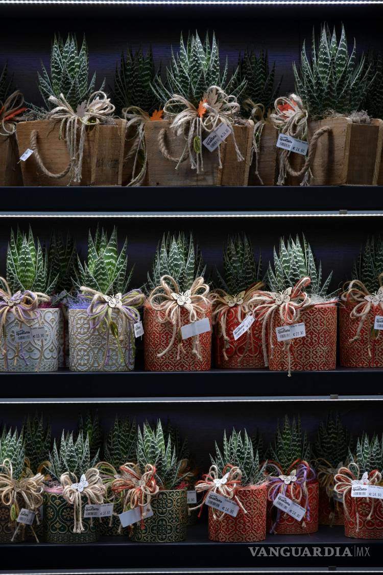 $!Busca arreglos en macetas decorativas o flores preservadas.