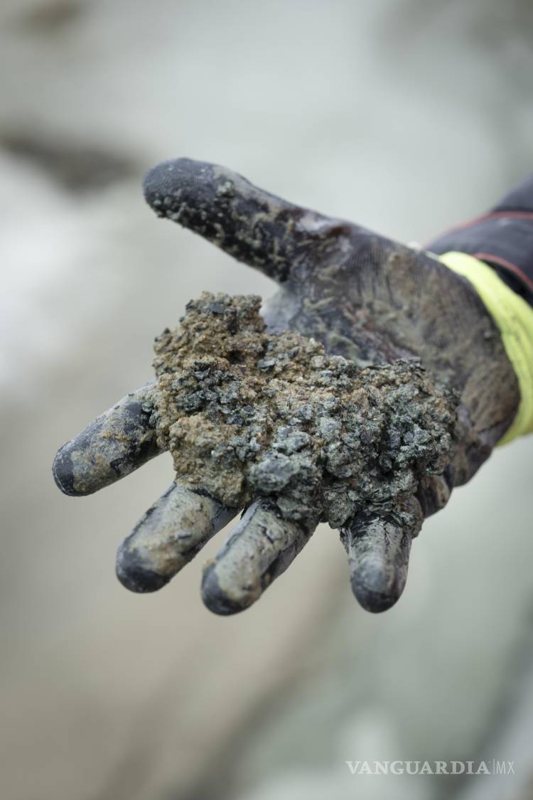 $!Carl Hinds, ingeniero de operaciones de Vema, con un puñado de sedimento rocoso que muestra un tono verdoso debido a la serpentinización en el sitio de perforación operado por Vema Hydrogen en Thetford Mines, Quebec, Canadá.