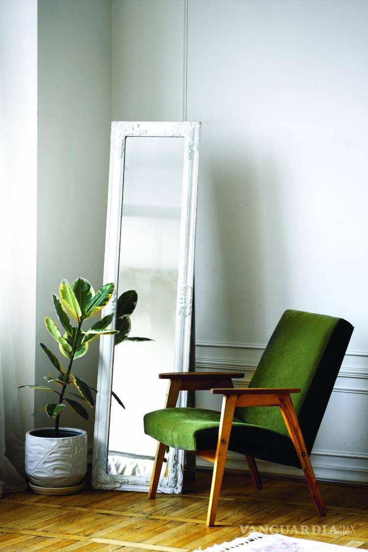 $!Siempre incluye elementos de la naturaleza como plantas o muebles con tonos verdes.