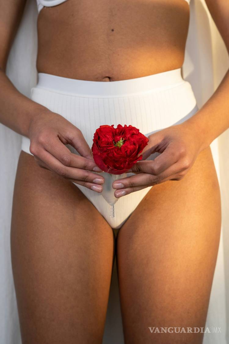 $!Calzones menstruales... ¿la mejor opción?