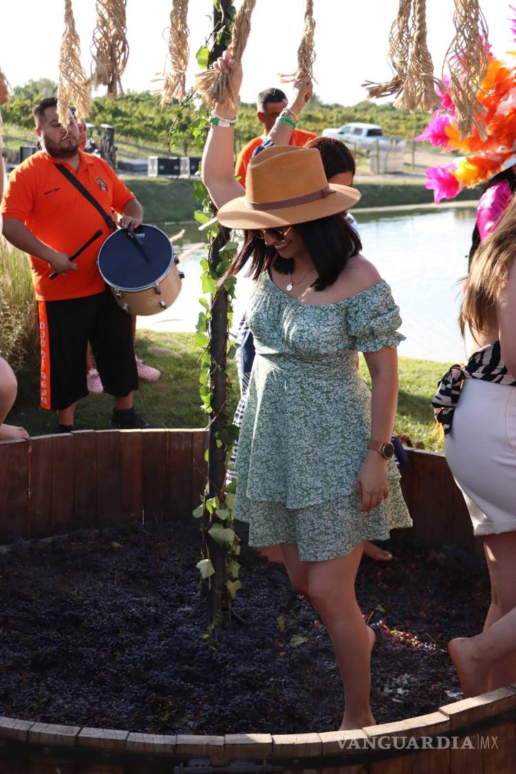 $!Durante el evento se hizo el tradicional pisado de las uvas de Parras de la Fuente.