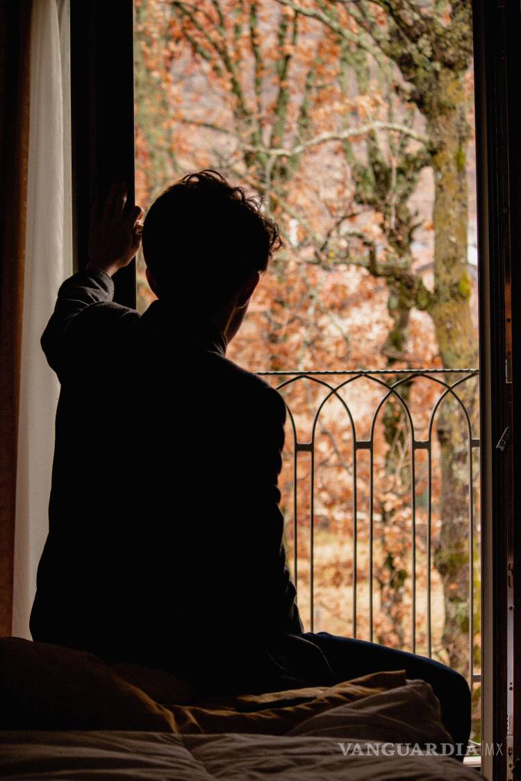 $!Contemplar el balanceo de las hojas o el cambio de estación desde la ventana permite activar la Red Neuronal por Defecto, la verdadera sala de máquinas del descanso cerebral.