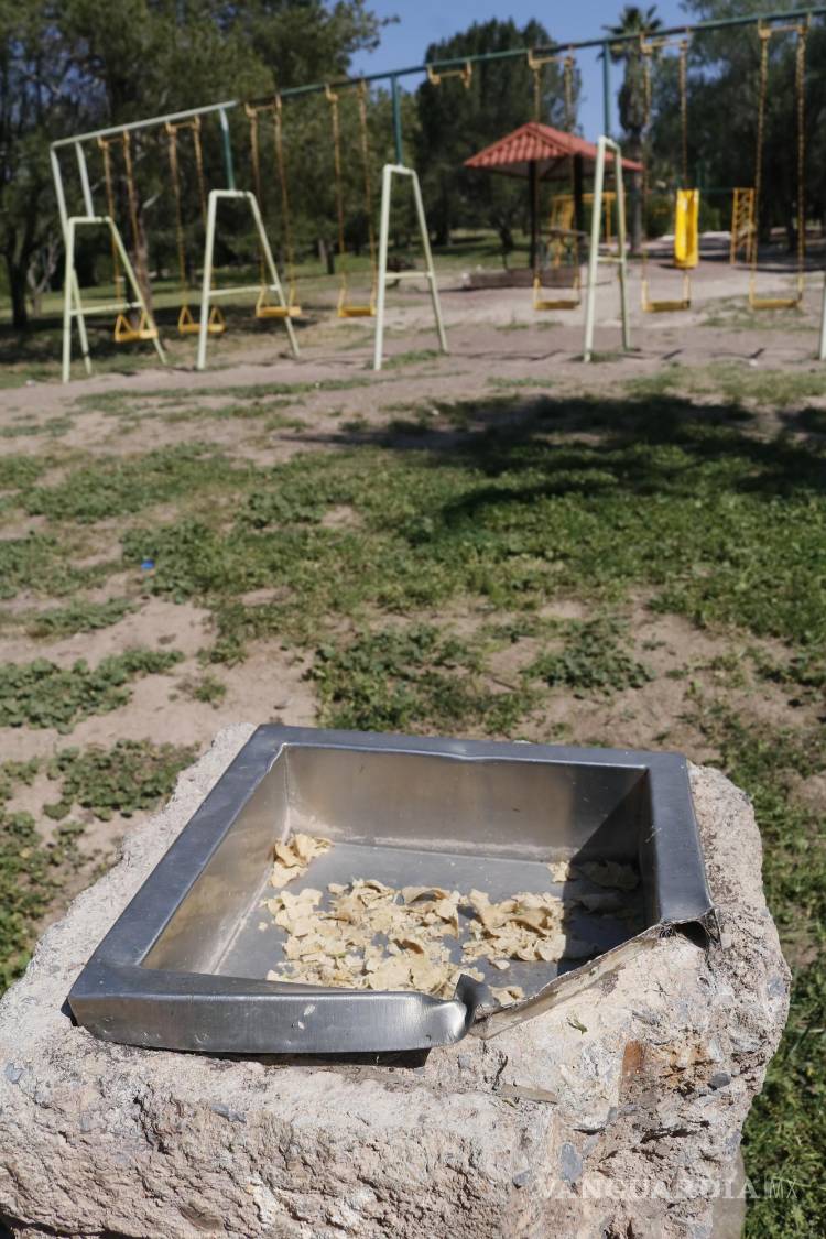 $!Gran deterioro se puede ver en el parque.