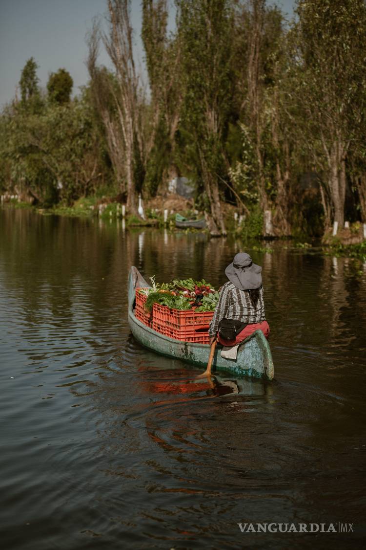$!Una chinampera transporta su cosecha por los canales de Xochimilco, un sistema agrícola milenario que aún resiste en medio de la Ciudad de México. Las chinampas son ejemplo vivo de agricultura regenerativa y conexión con la tierra.