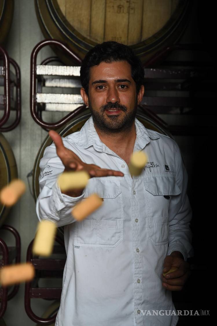 $!En cada botella se concentran el esfuerzo y las decisiones tomadas a lo largo del cultivo de la uva.