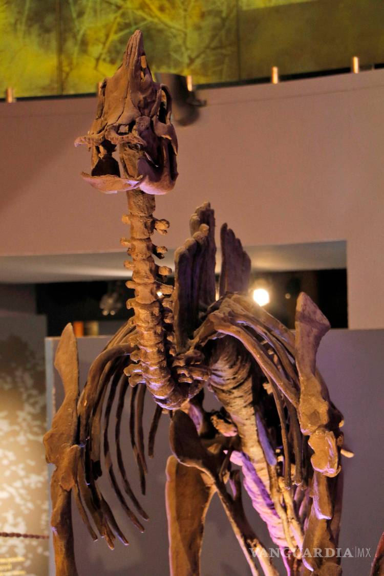 $!El hombre que da vida a los dinosaurios