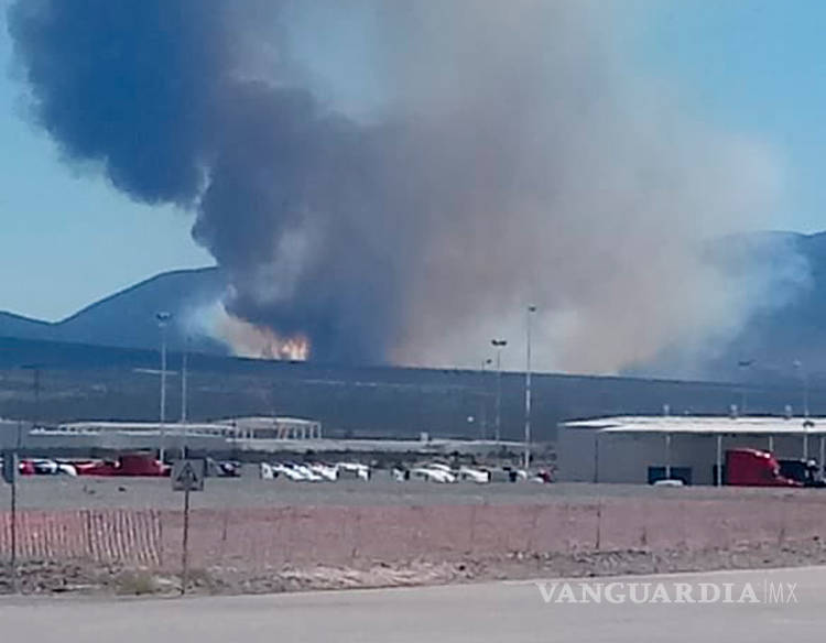 $!Incendio forestal cobra fuerza al sur de Saltillo; habría sido provocado, denuncian