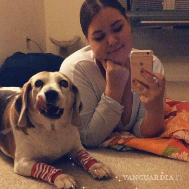 $!Perro con obesidad mórbida tiene radical cambio tras dieta y ejercicio