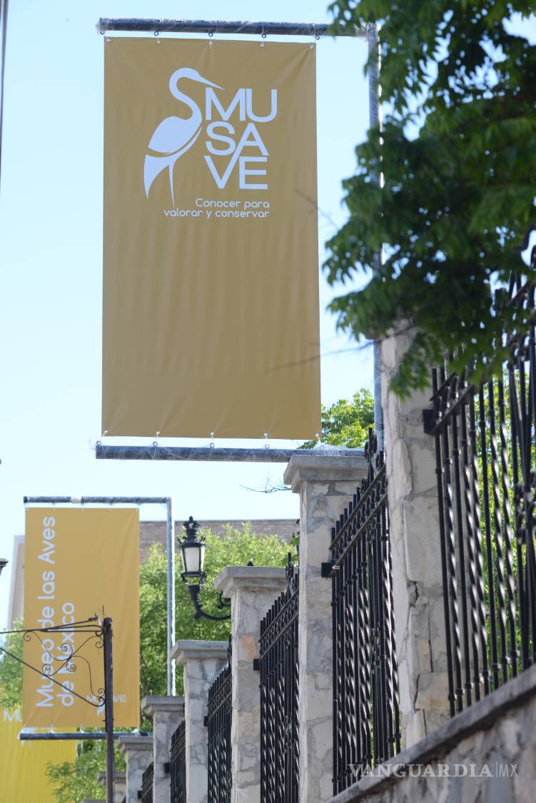 $!Luego de casi 3 años de permanecer cerrado, reabren hoy el Museo de las Aves