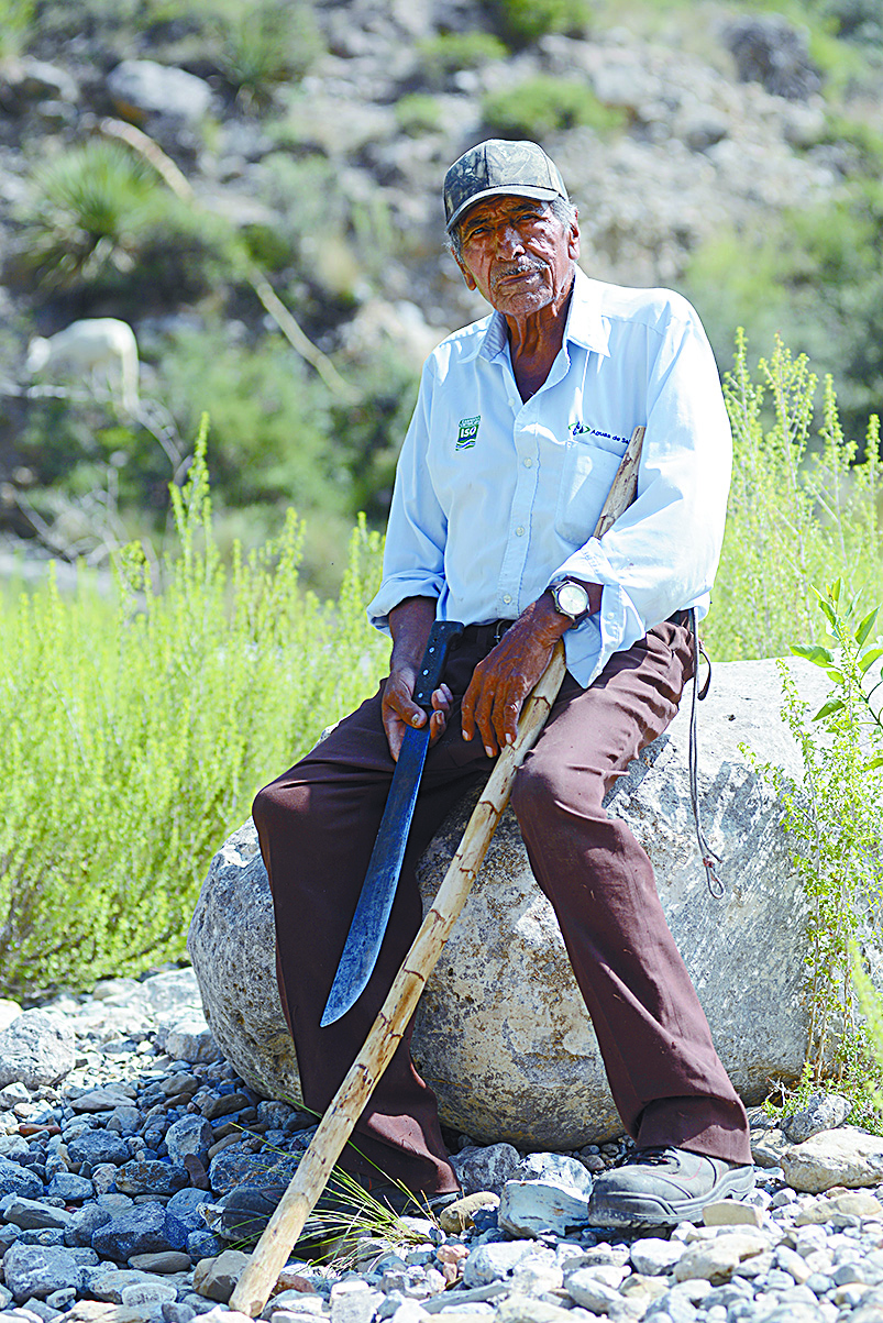 $!Don Pedro, el pastor del Cañón de San Lorenzo y sus 14 chivías