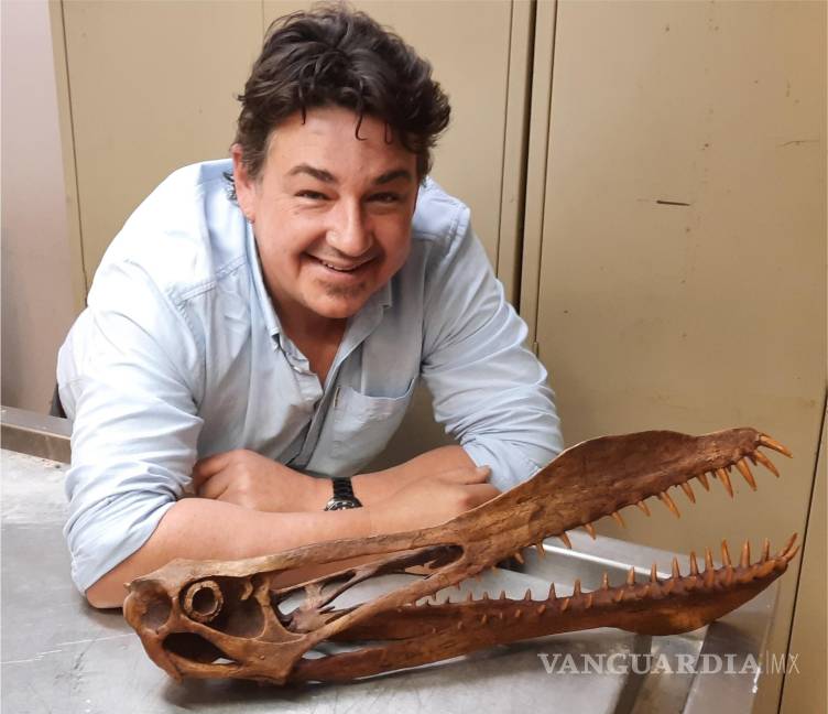 $!El candidato a doctor de la Universidad de Queensland, Tim Richards, con una reconstrucción del cráneo de Thapunngaka shawi. EFE/Tim Richards/Universidad de Queensland