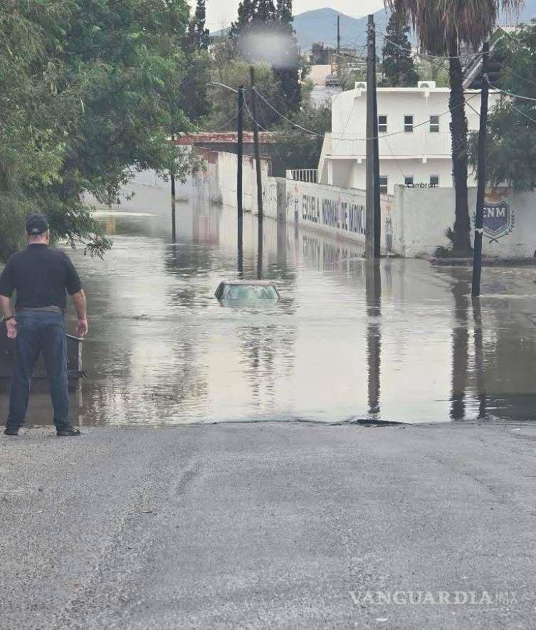 $!Árboles caídos, postes derribados e inundaciones entre las afectaciones reportadas.