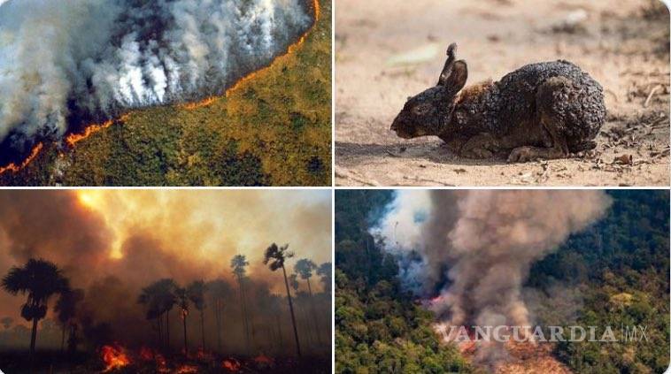 $!Acusa Bolsonaro a ONG's de provocar los incendios en Amazonas