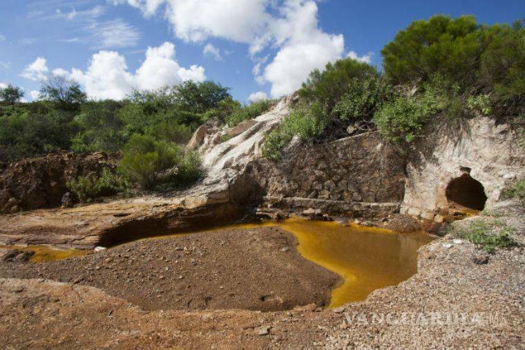 Multa por daños al medio ambiente podría aumentar con iniciativa de Monreal