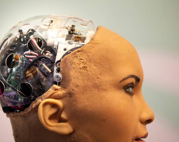 Detalle de la cabeza de la robot Sofía, una humanoide diseñada para mantener complejas conversaciones y expresar más de medio centenar de emociones, en la XIX edición del Mobile World Congres en Barcelona.