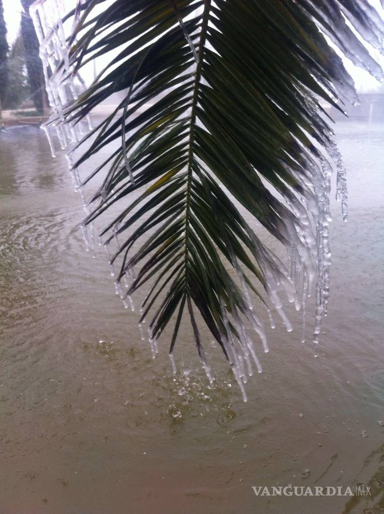 $!Reportan caída de aguanieve en Saltillo