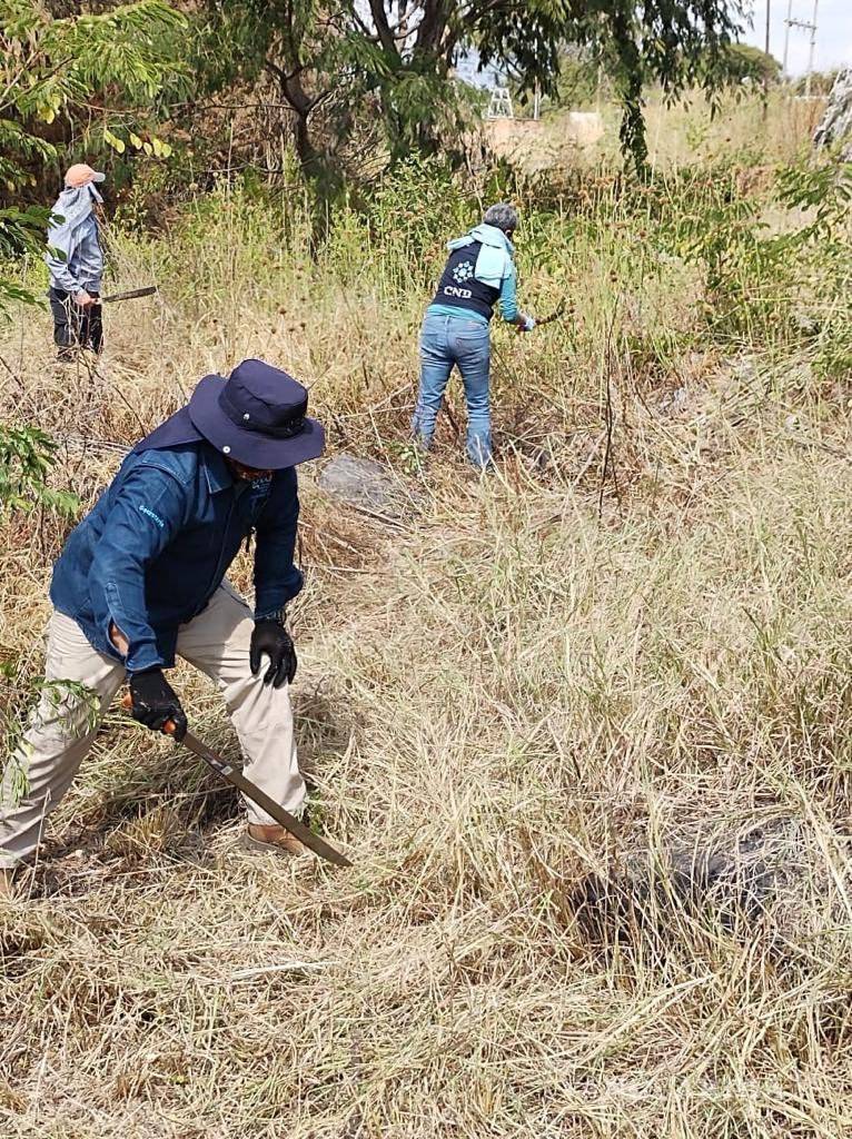 $!Por lo menos 100 cadáveres habrían en fosas clandestinas de Salvatierra